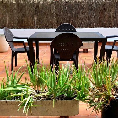 El Jardin De Veronica Saragozza Esterno foto